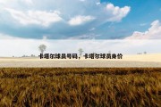 卡塔尔球员号码，卡塔尔球员身价