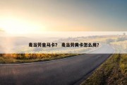 麦当劳皇马卡？ 麦当劳黄卡怎么用？