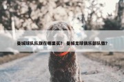 曼城球队队旗在哪里买？ 曼城足球俱乐部队徽？