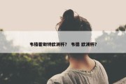 韦格霍斯特欧洲杯？ 韦德 欧洲杯？