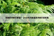 河南武术散打赛程？ 2019年河南省武术散打冠军赛？