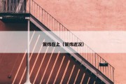 贺炜在上（贺炜近况）