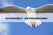 有多少种切尔西鞋子？ 有多少种切尔西鞋子的颜色？
