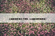 上届欧洲杯有几个球队（上届欧洲杯前四名）