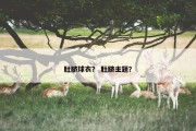 肚脐球衣？ 肚脐主题？