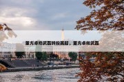 董方卓劝武磊转投英超，董方卓和武磊