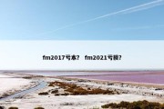 fm2017亏本？ fm2021亏损？