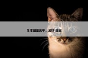 足球图案美甲，足球 图案