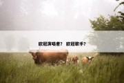 欧冠演唱者？ 欧冠歌手？