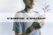 名门皇马属哪个街道？ 名门皇马幼儿园怎么样？