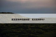 实况足球伊瓜因杂耍？ 实况足球伊万？