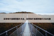 足球场不准踢球图片大全，足球场不准踢球图片大全大图