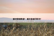 猴子野核阵容？ 猴子出啥打野刀？