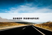 陈自强足球（陈自强与老外比武）