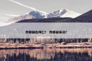 齐耶赫在拜仁？ 齐耶赫采访？