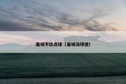 曼城不给点球（曼城没球迷）