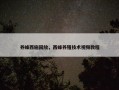 养蜂西施回放，西蜂养殖技术视频教程