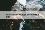 fm2017汉化版球员名字英文（fm2020球员英文名）