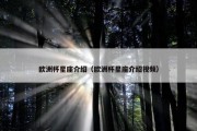 欧洲杯星座介绍（欧洲杯星座介绍视频）