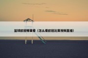 篮球欧冠哪里看（怎么看欧冠比赛视频直播）