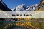 莱斯特球队中国，莱斯特 足球