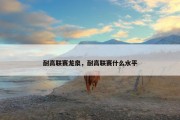 耐高联赛龙泉，耐高联赛什么水平