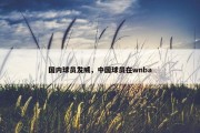 国内球员发威，中国球员在wnba
