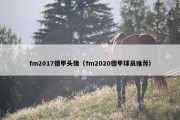 fm2017德甲头像（fm2020德甲球员推荐）