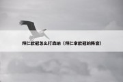 拜仁欧冠怎么打森纳（拜仁拿欧冠的阵容）