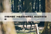 足球胜中国后（中国足球也曾辉煌过, 疯狂进攻吊打欧美）