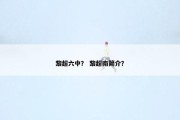 黎超六中？ 黎超南简介？