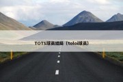 TOTS球员结局（toloi球员）