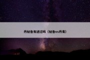 丹秘鲁有进过吗（秘鲁vs丹麦）