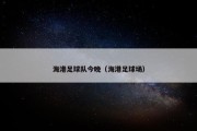 海港足球队今晚（海港足球场）