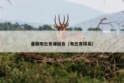 曼联布兰克谁组合（布兰克球员）