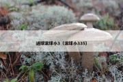 进球滚球小3（滚球小335）