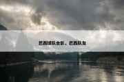 巴西球队合影，巴西队友