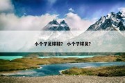 小个子足球鞋？ 小个子球员？