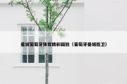 曼城葡萄牙体育精彩回放（葡萄牙曼城后卫）