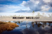 茜茜公主回放？ 茜茜公主cctv6？