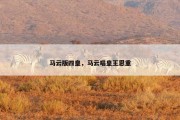 马云版四皇，马云唱皇王恩重