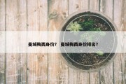 曼城梅西身价？ 曼城梅西身价排名？