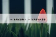 u17小将加盟拜仁？ u17球员是什么意思？