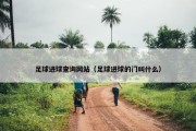 足球进球查询网站（足球进球的门叫什么）