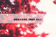 德国波兰足球队（德国队 波兰人）