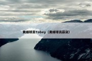 黄蜂球员Tobey（黄蜂球员薪资）