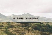 浦江企业球队（浦江县足球协会）