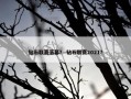 钻石联赛落幕？ 钻石联赛2021？