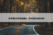 乒乓球队辛苦训练图片（乒乓球队训练内容）