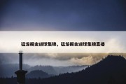 猛龙掘金进球集锦，猛龙掘金进球集锦直播